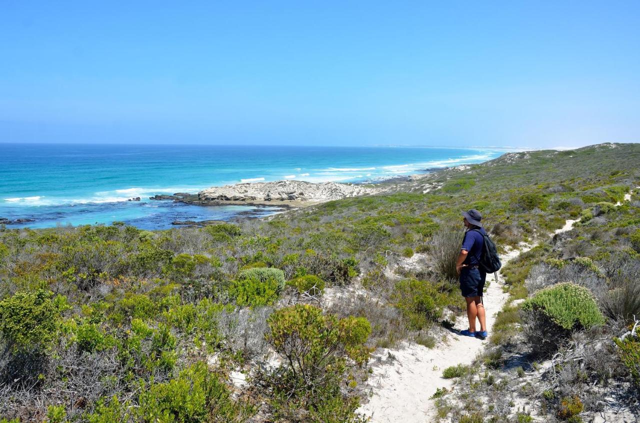 Morukuru Beach Lodge De Hoop Nature Reserve Exterior photo